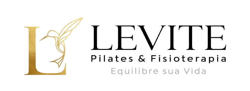 Studio Levite